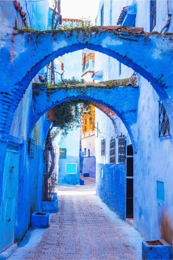 Tours from tangier